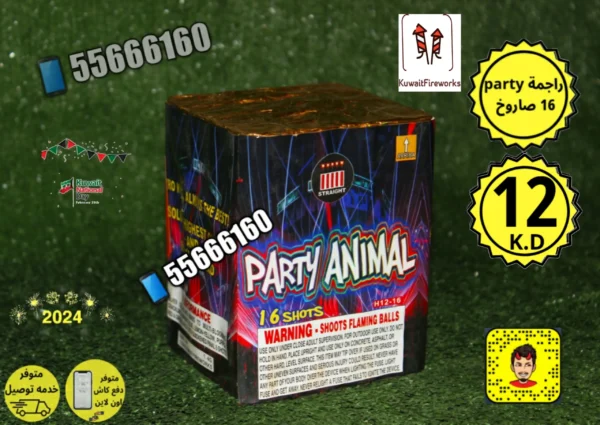 party راجمة 16 صاروخ