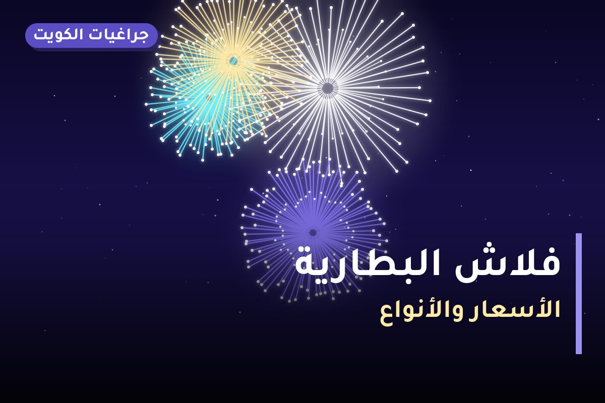 فلاش البطارية: السعر والاستخدام الآمن وأفضل المناسبات