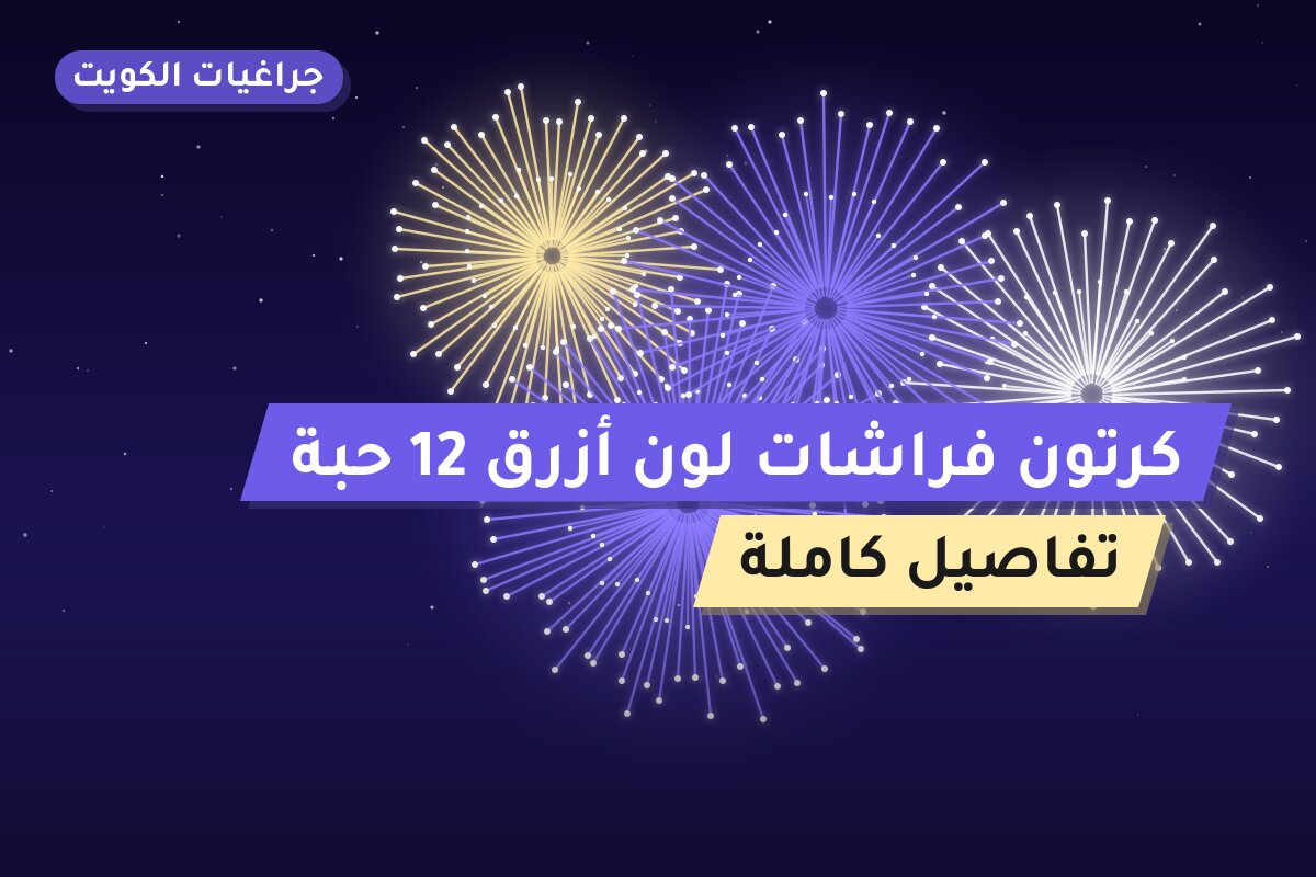 كرتون فراشات لون أزرق 12 حبة في الكويت — السعر والتفاصيل