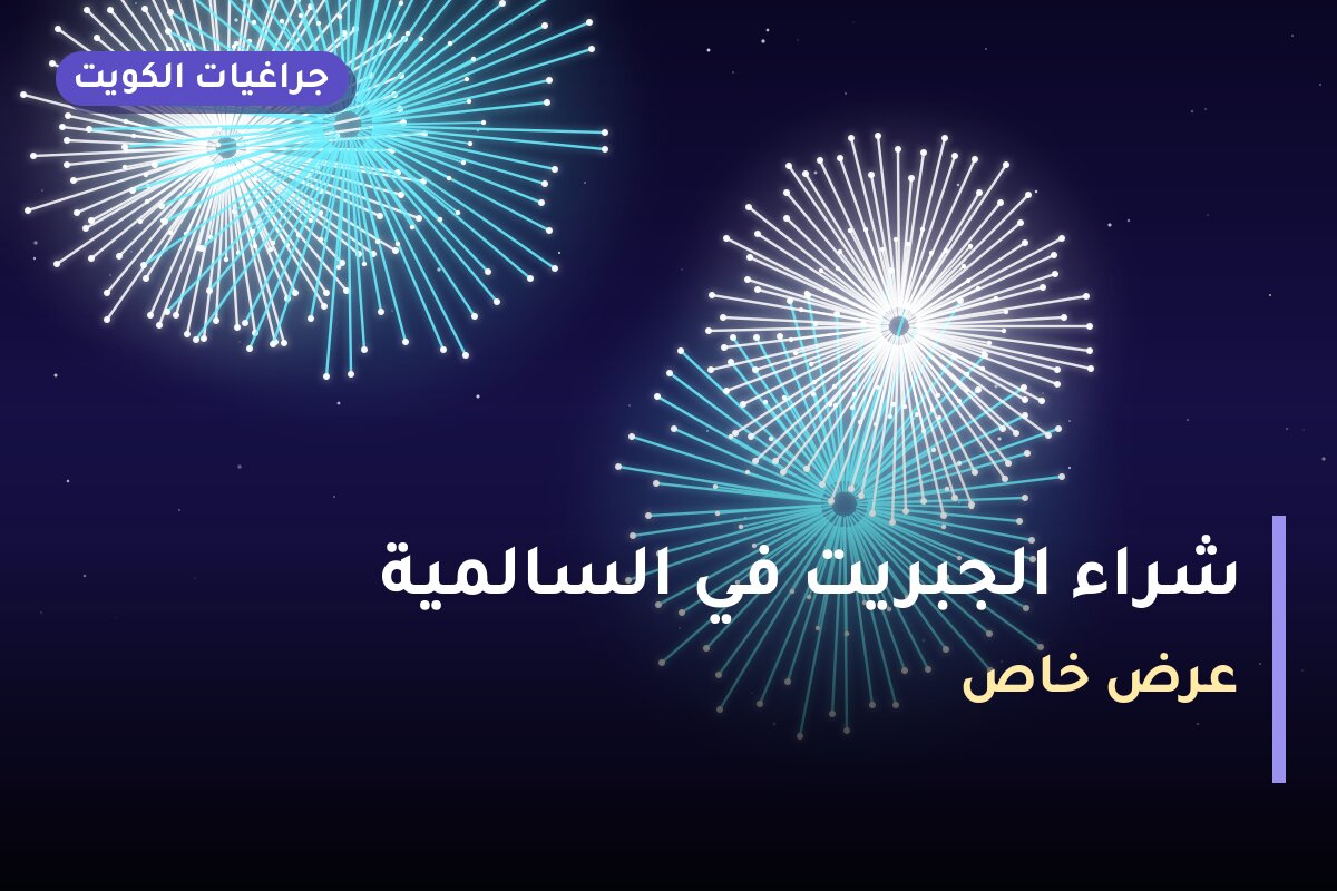 شراء الجبريت في السالمية بسعر 10 د.ك: دليل الشراء والمواصفات
