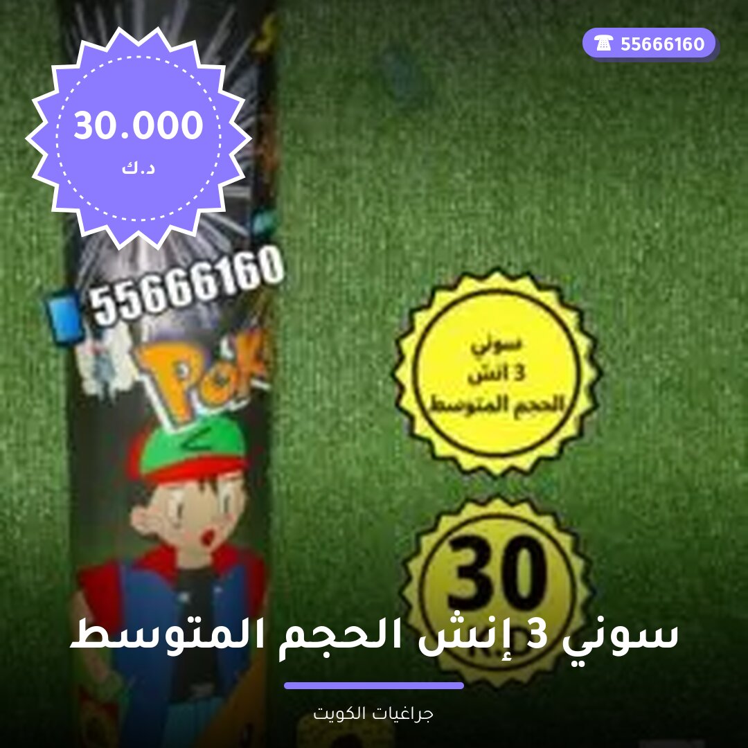 سوني 3 إنش الحجم المتوسط — صورة المنتج