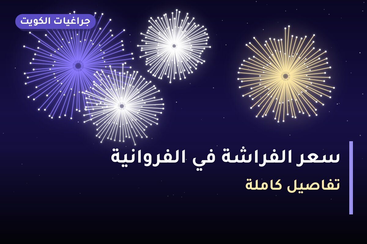 سعر الفراشة في الفروانية بسعر 8 د.ك — أفضل المناسبات والتوصيل