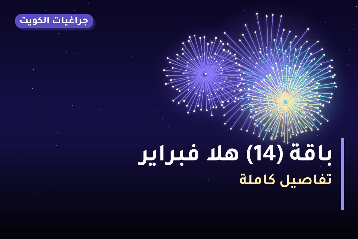 باقة 14 هلا فبراير — صورة المنتج