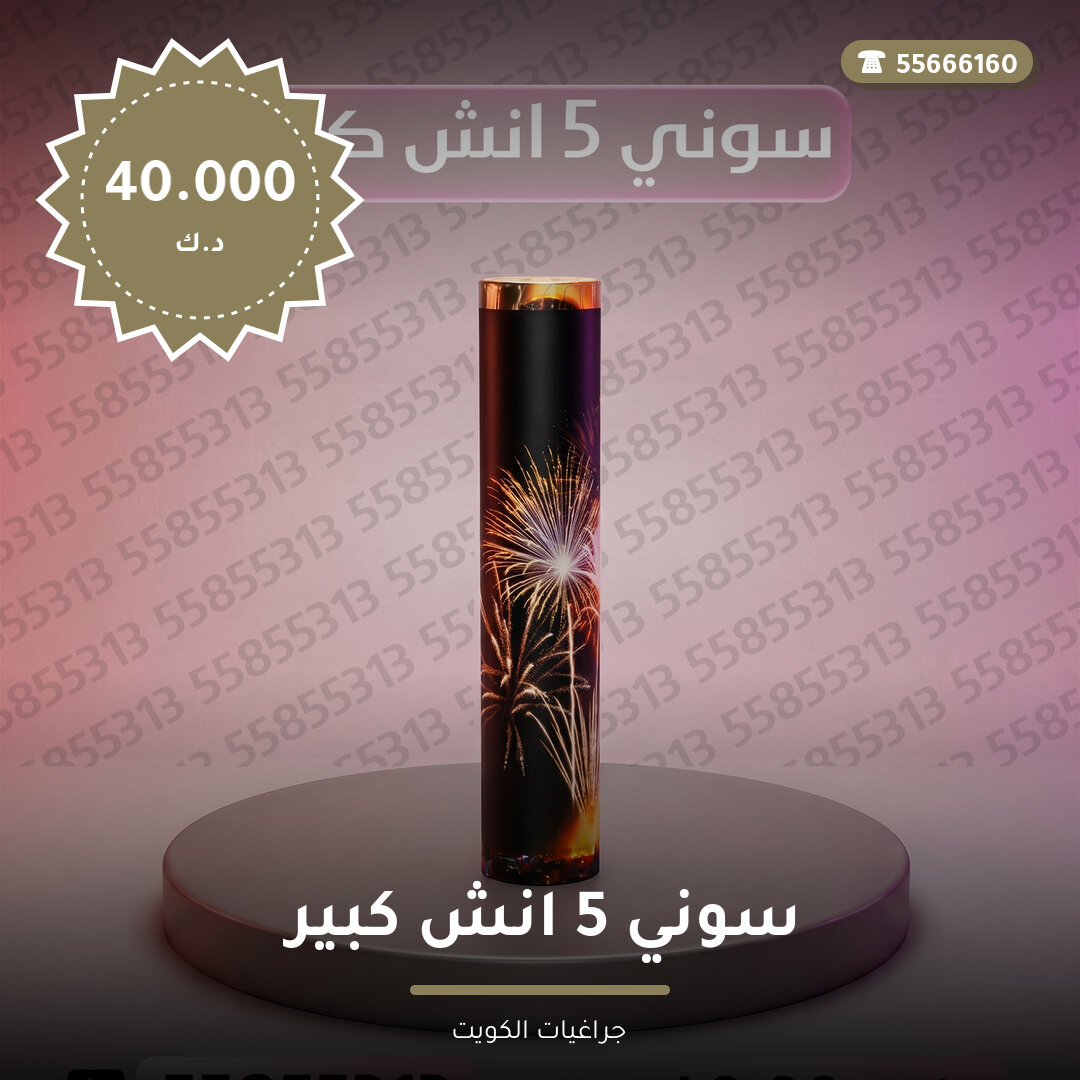 هل سوني 5 انش كبير مناسب — صورة المنتج